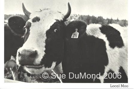 Local Moo